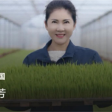 联合国表彰！仅两名中国女性入选，岳阳董敏芳榜上有名！