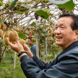 潇湘银辉丨郭曼文：银龄志愿者十九载坚守，把科技助农答卷写在湘西山水间