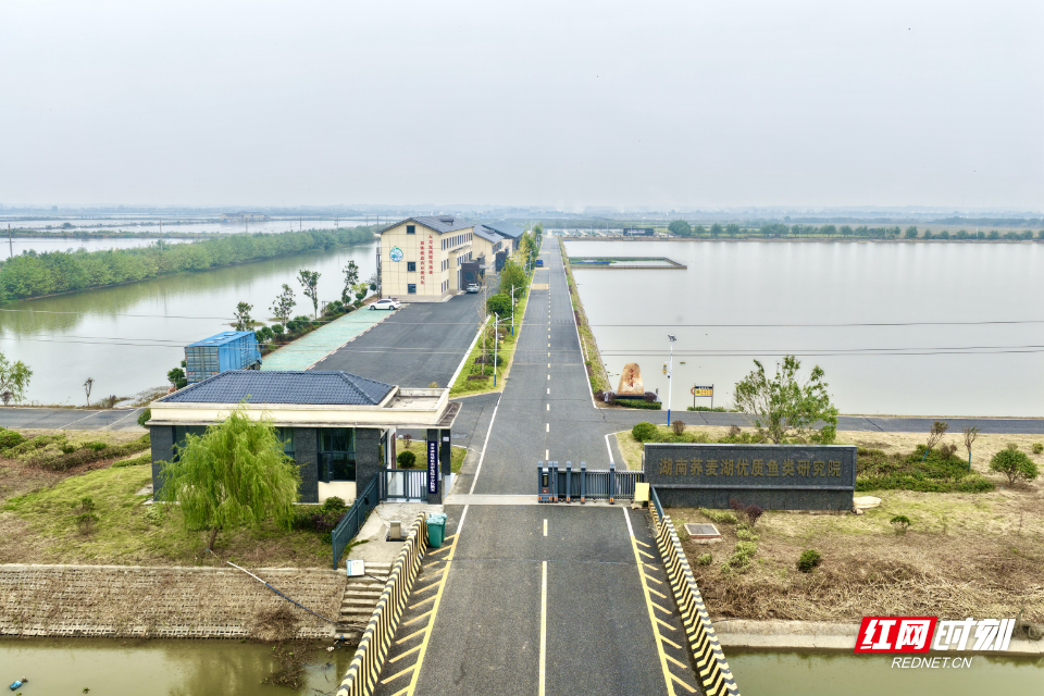 屈原1.jpg