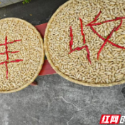 好评中国丨让节粮护粮成为全民自觉