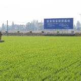 湖南政解 | 未来五年，湖南人的饭碗如何端得更稳？