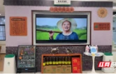 邮储相伴 文化赋能暖客情——邮储银行汉寿县西门支行打造甲鱼文化特色支行新实践