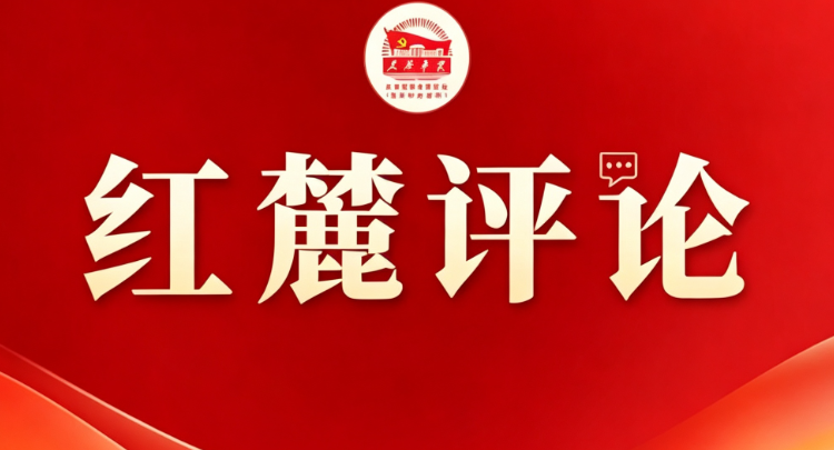 红麓评论：县域经济如何深耕特色产业？