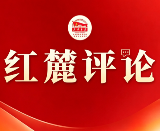 红麓评论:县域经济如何深耕特色产业?