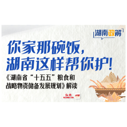 湖南政解|“十五五”粮储规划解读——你家那碗饭,湖南帮你这样护!