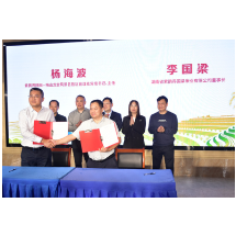 “紫鹊界”品牌回归公有 五大标准化体系护航千年贡米