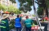 雨邻有约｜一根垂线牵众手，线网“抬头”路畅通
