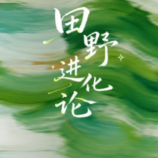 田野进化论②丨水润田畴新叙事