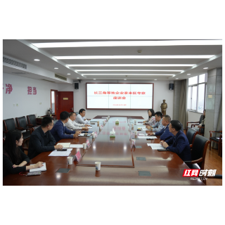 长三角等地企业家来岳阳经开区考察座谈