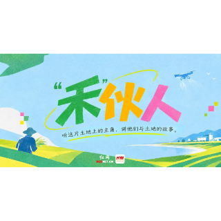 “禾”伙人①丨阳岳球的“稻田狂想”:机器人下田、农民穿皮鞋种田