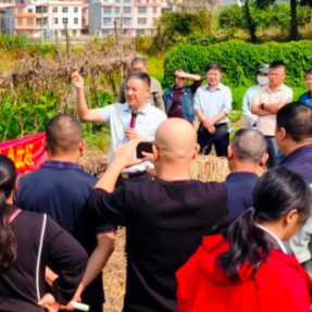 汝城县卢阳镇：秸秆禁烧“堵”得严 综合利用“疏”得宽