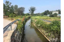 选票载民意 实事润民心——湘潭市实施民生实事项目人大代表票决制纪实