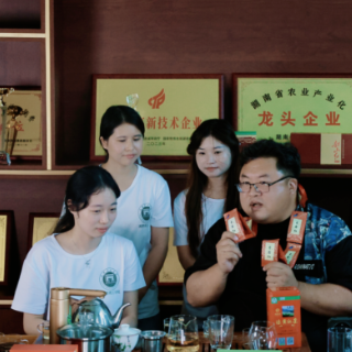 “青春三下乡”结硕果 湘潭理工学院斩获4项大奖
