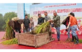 南县举行2026年世界粮食日暨全国粮食安全宣传周主题活动