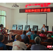 汝城县濠头乡：阵地焕新聚人气 科技下乡暖民心