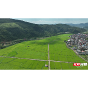 临武县水东镇：产农文旅齐发力 实干笃行启新程