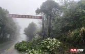 “露脸” 迎客，桑植县持续擦亮文旅通行窗口