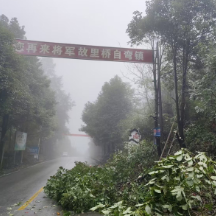 “露脸” 迎客,桑植县持续擦亮文旅通行窗口