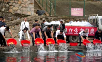 湘乡增殖放流90万尾鱼苗
