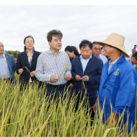 稻虾专用品种湖南岳阳千亩示范方现场观摩与研讨会在岳阳市屈原管理区举行