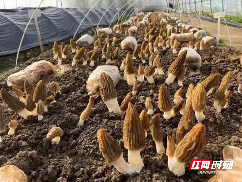 微信图片_20261018165148_904_260.jpg