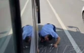 视频｜车流中，长沙公交司机俯身营救车底小猫