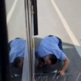 视频｜车流中，长沙公交司机俯身营救车底小猫