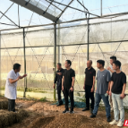 “菌力护航•健康湖南”食用菌科普活动在长沙莲花镇举行
