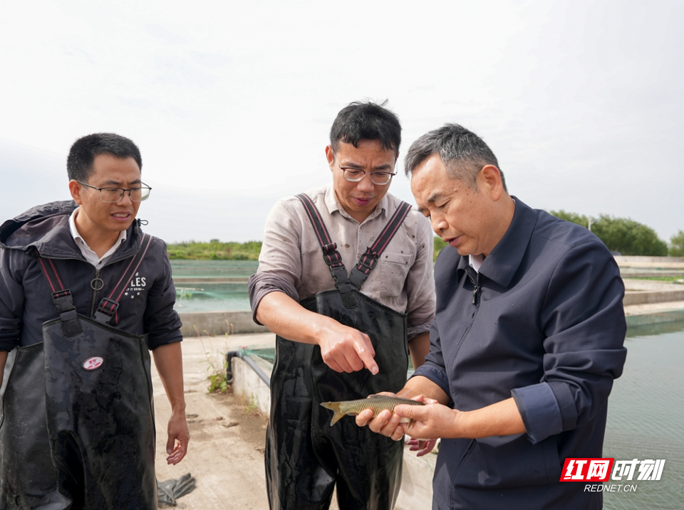 微信图片_20261018170537_2077_24.jpg