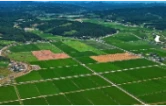 常德市启动2026世界粮食日暨粮食安全宣传周活动