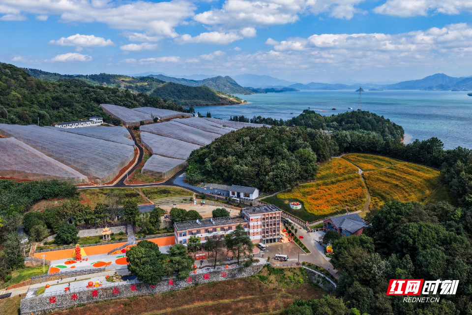 DJI_20261017111536_0800_D.jpg