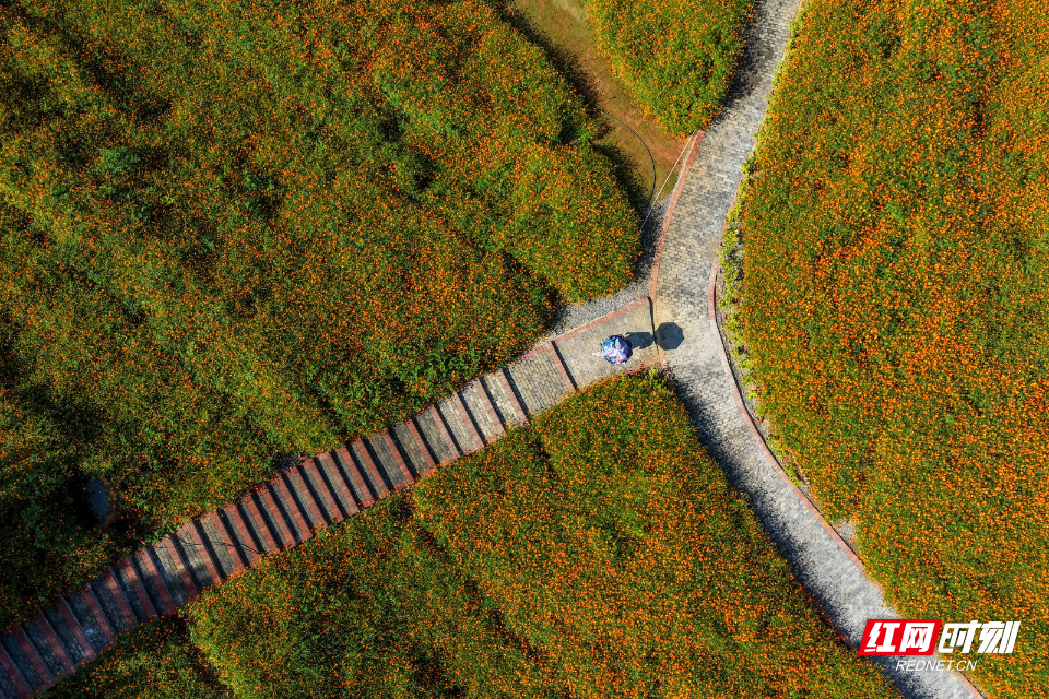 DJI_20261017100119_0547_D.jpg