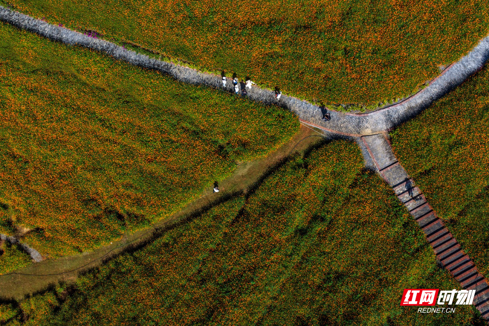 DJI_20261017101745_0645_D 2.jpg