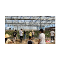 永兴县“兴火成炬”团队与结对小伙伴走进田间地头共读共学