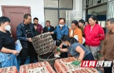 桃江县滩口上村：5000只鸡苗“落户”农家院 庭院经济添活力
