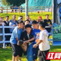 宁乡消费新场景观察：打破边界的县域试验
