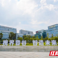 知园区、爱园区、强园区——天心经开区这场活动的实干逻辑