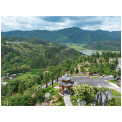 把“人民满意”写在青山绿水间 ——记第八届湖南省“人民满意的公务员集体”靖州县发展和改革局
