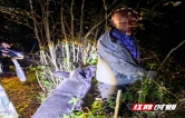 警犬深夜山林精准寻人