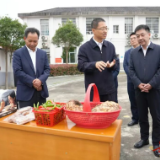 谢卫江在平江县、岳阳县调研农业农村工作