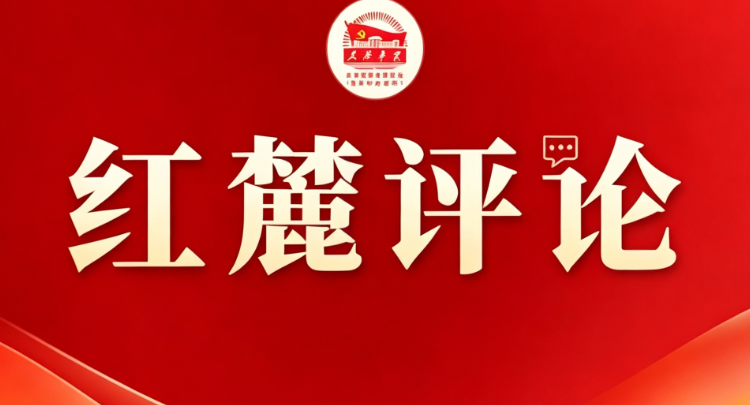 红麓评论：别让“特色”成了“半拉子”