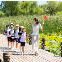 校外实践教学如何落到实处