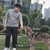 健康科普丨狂犬病不可忽视，侥幸心理不可有