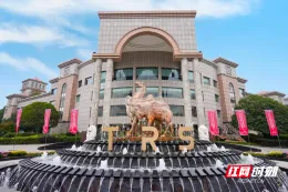 奋进“十五五” 民企勇担当丨唐人神：养猪也有高科技 全链布局闯出新天地