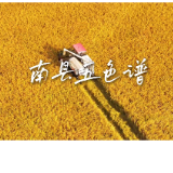 南县五色谱①丨沃野流金,洞庭农耕的温暖底色