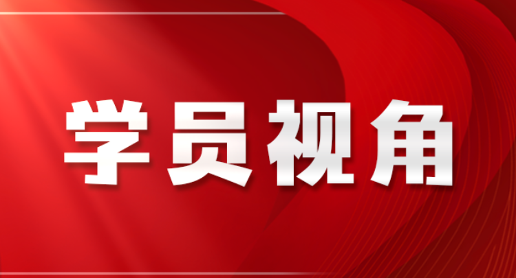 党建力量如何抵达民生末梢——从“高效办成农村建房一件事”看党的创新理论的实践伟力