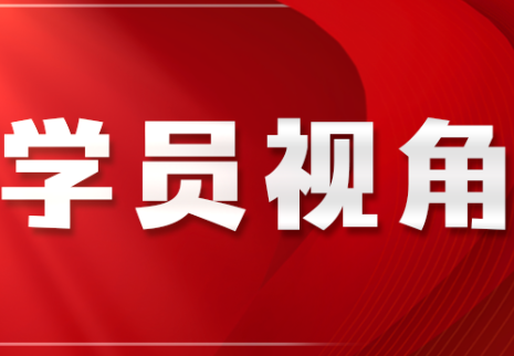党建力量如何抵达民生末梢——从“高效办成农村建房一件事”看党的创新理论的实践伟力