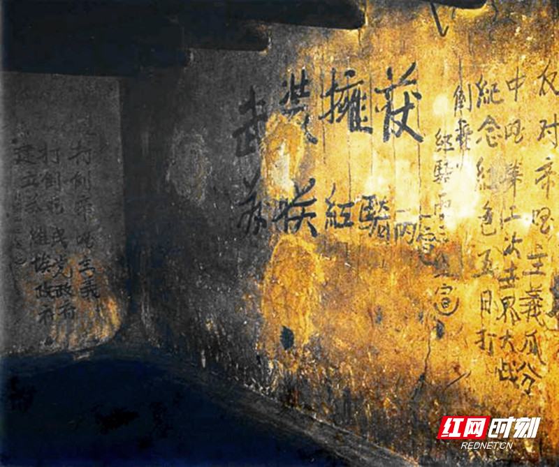 图片1_副本_副本.jpg