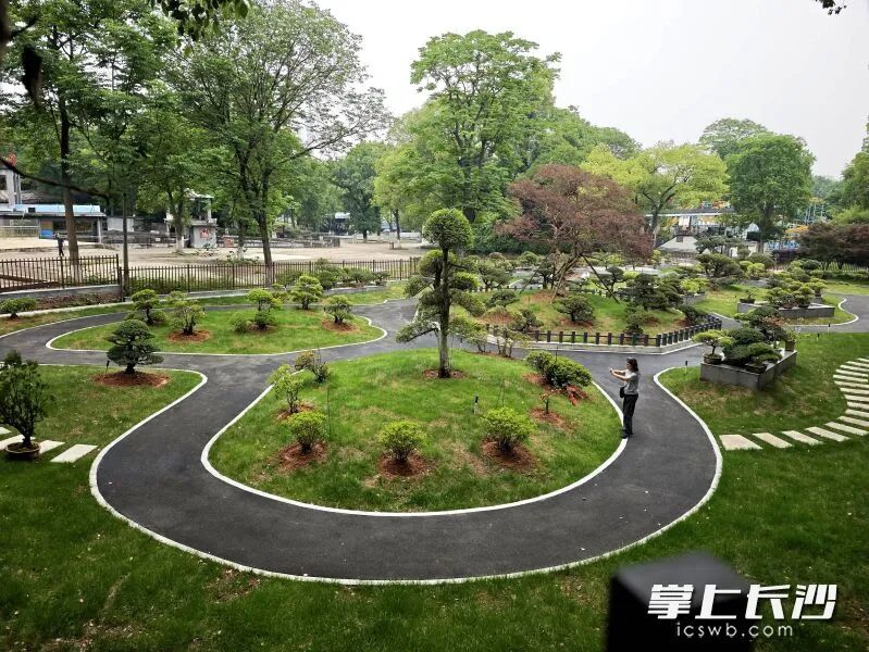 烈士公园游乐场的过山车拆除后，今年建成了绿化景观。