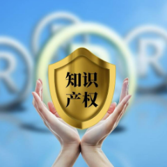 深化知识产权与标准化融合 湖南省市场监管局审查94项知识产权领域地方标准